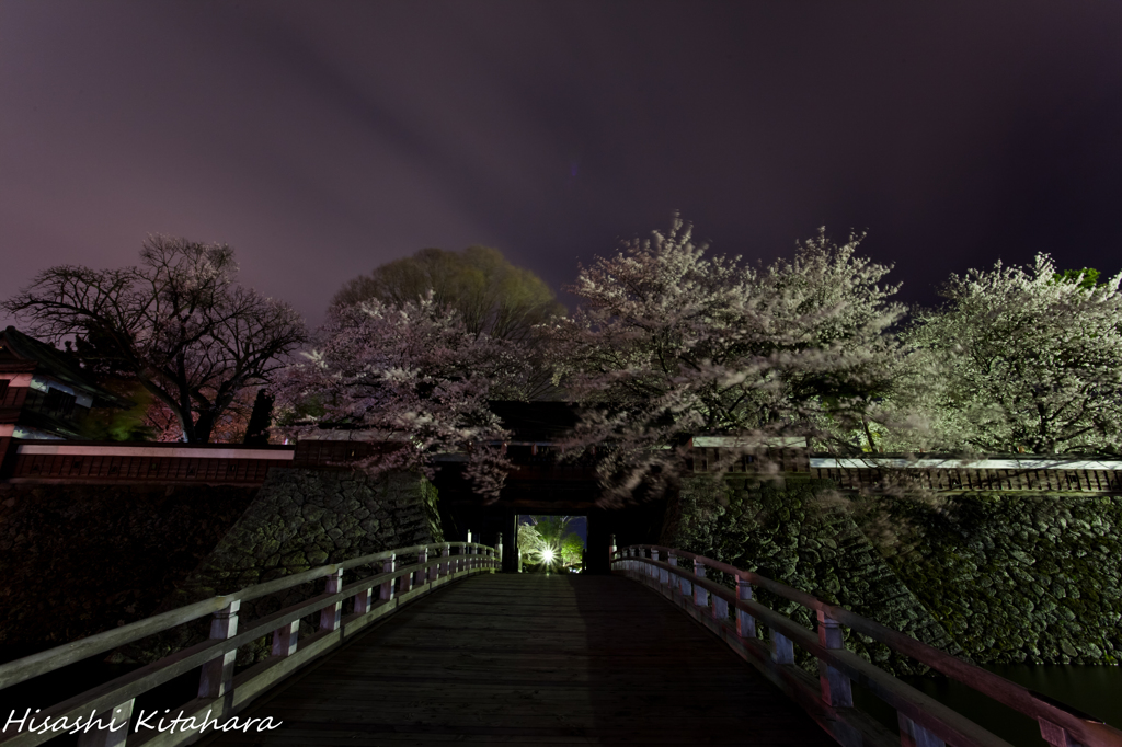 冠木橋と桜