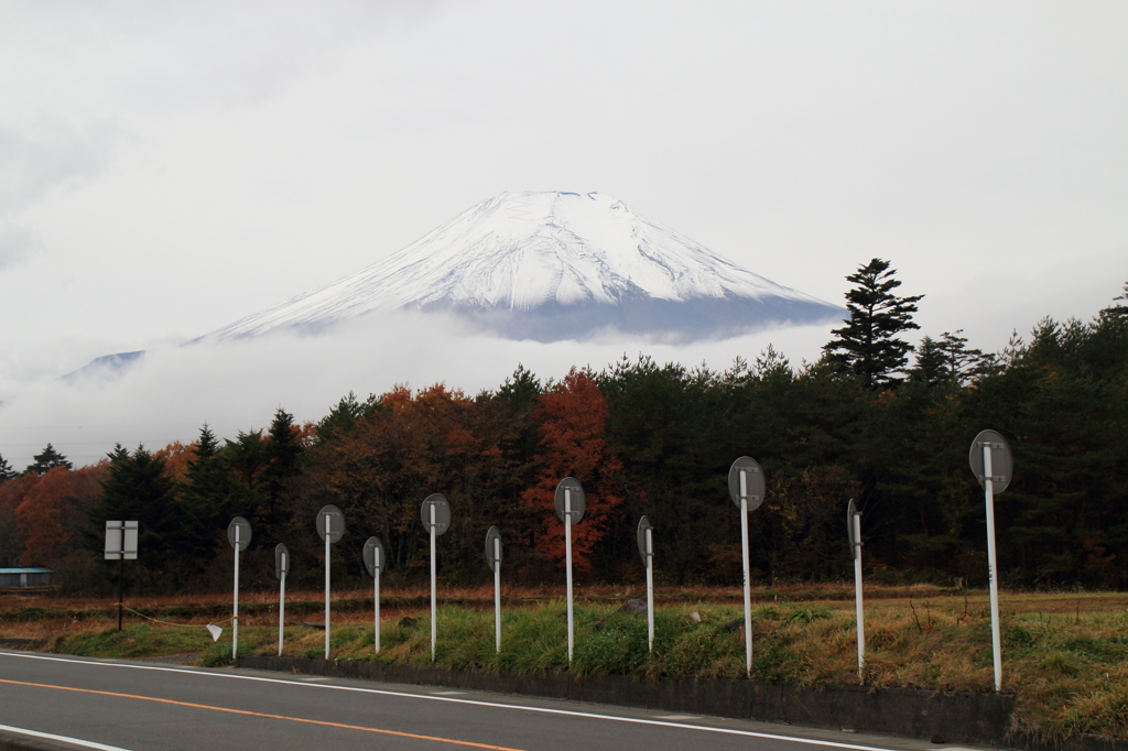 富士山と沢山の標識