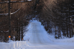 県道４０号線の雪道　