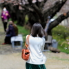 散りゆく桜を見守る若い女性