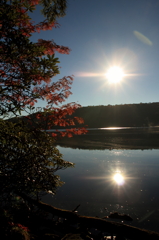 太陽と紅葉