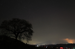 わに塚の桜の木と星空