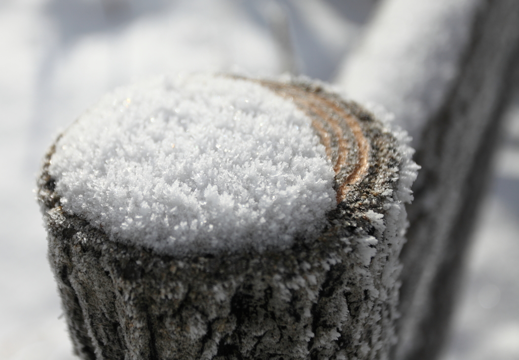 手すりには氷？雪？が積もっていた！　２
