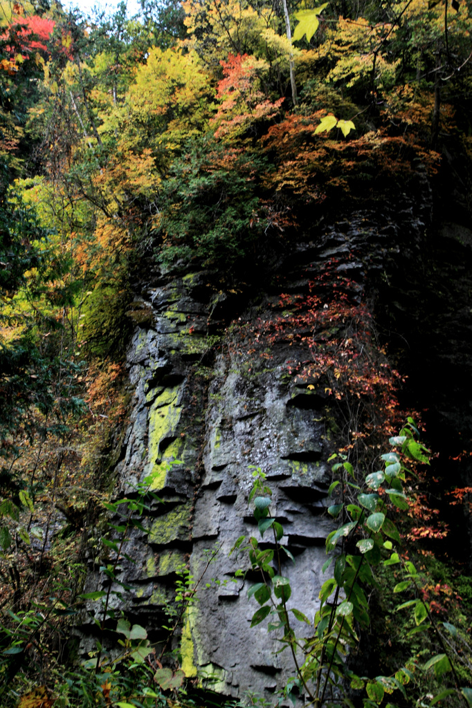 鷲岩