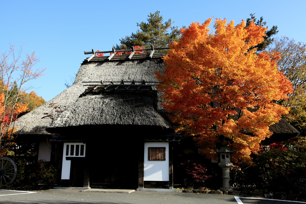 不動茶屋と紅葉