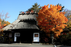 不動茶屋と紅葉