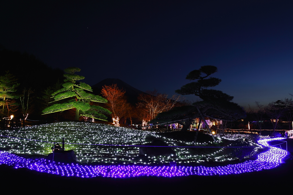 花の都公園　イルミネーションと富士山