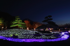 花の都公園　イルミネーションと富士山