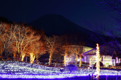 花の都公園　イルミネーションと富士山