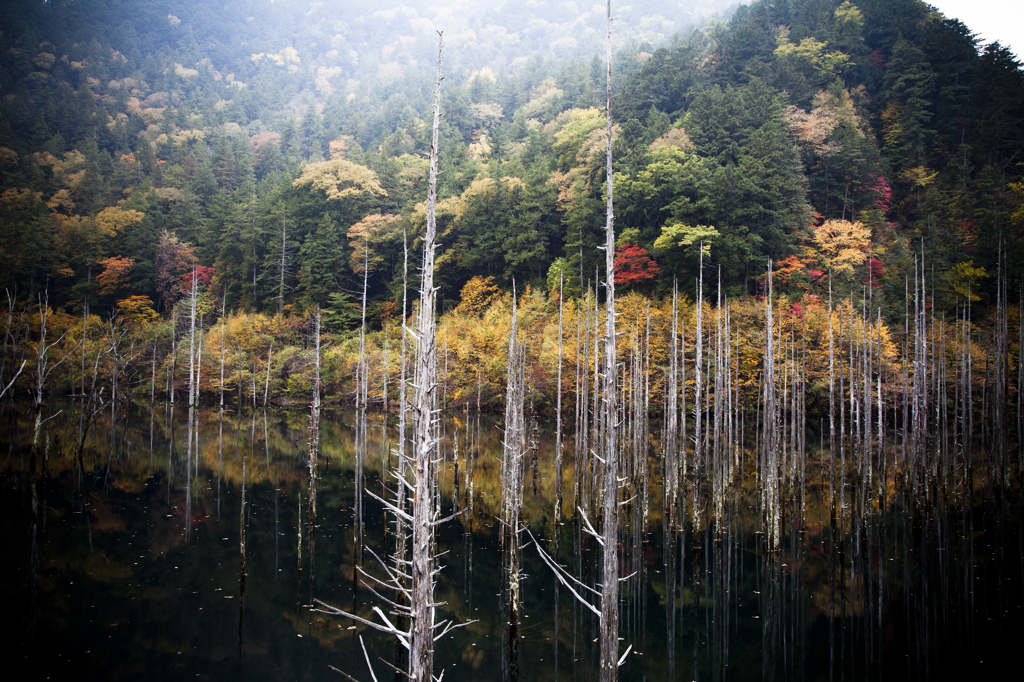 王滝湖　紅葉