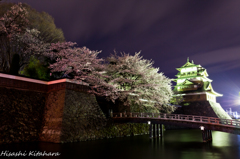 高島城と桜　夜景