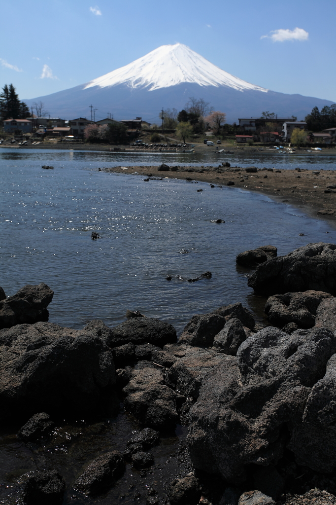 富士山と河口湖