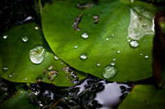 水滴