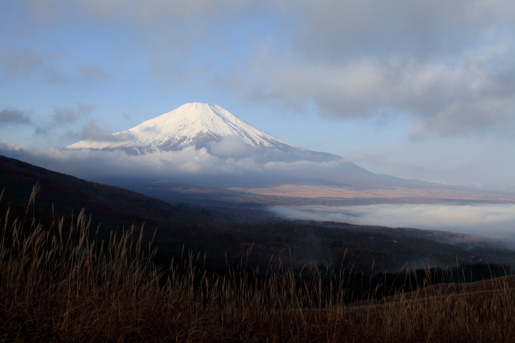 富士山と雲海