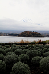 河口湖と富士山