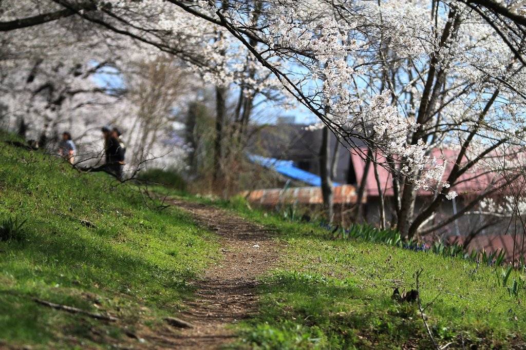 弘法山古墳までの道のり