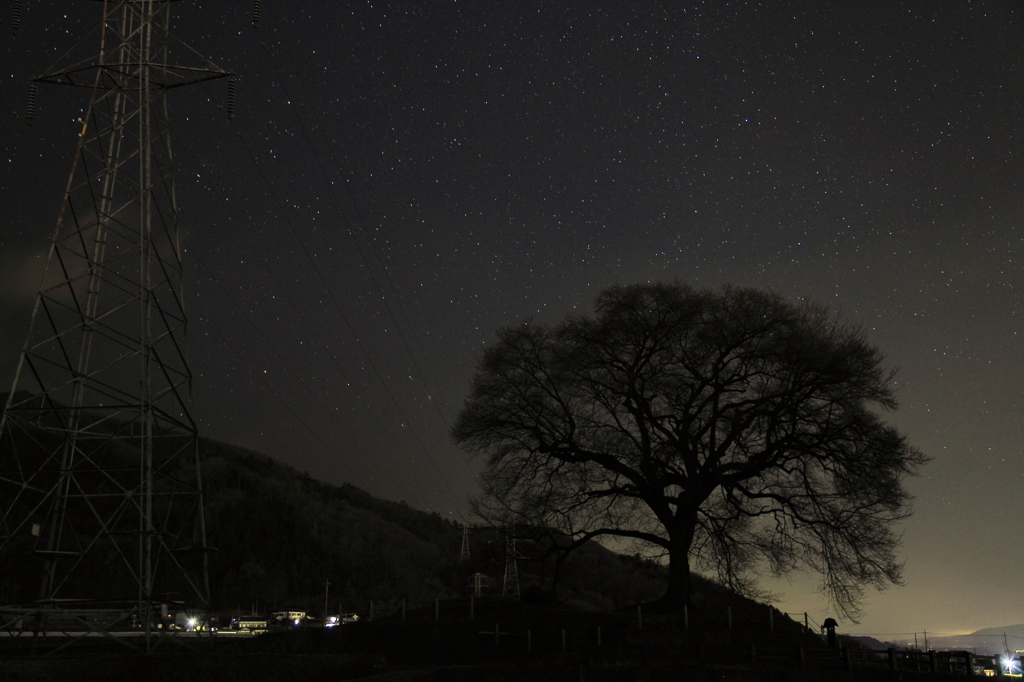 わに塚の桜の木と星空