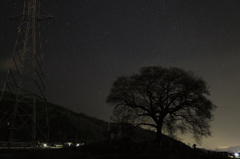 わに塚の桜の木と星空