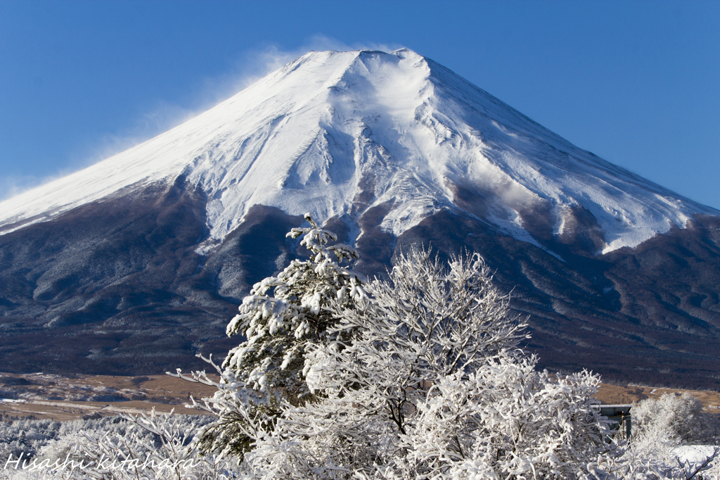 富士山と霧氷