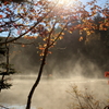 池面に立つ霧と紅葉