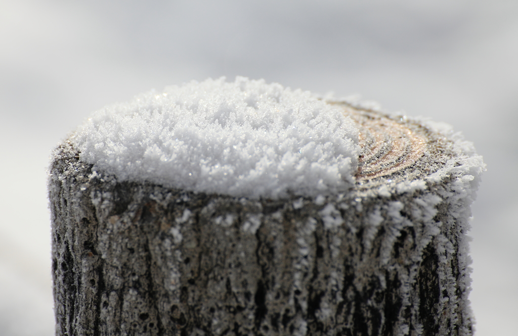 手すりの氷？雪？が積もっていた　３