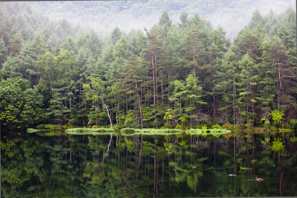 御射鹿池　夏