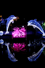2012信州大芝高原イルミネーションフェスティバル