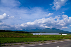 八ヶ岳　夏