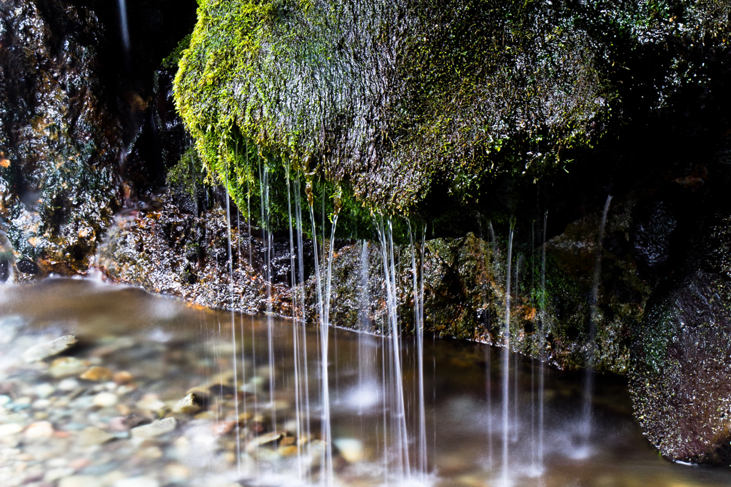 水滴る