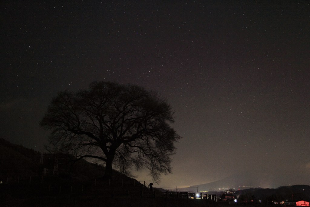 わに塚の桜の木と星空
