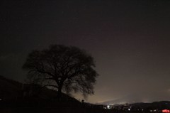 わに塚の桜の木と星空