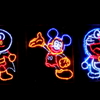 I2012信州大芝高原イルミネーションフェスティバルMG_7885
