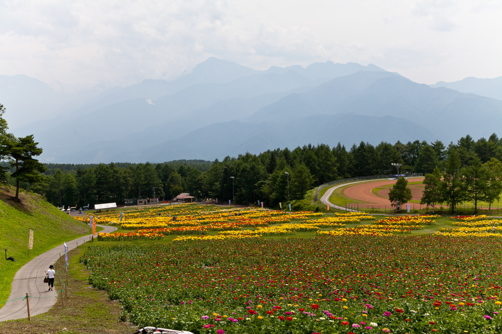 富士見高原リゾート　花の里