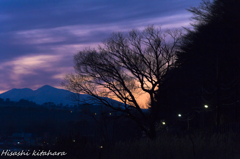 紫の染まる雲