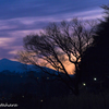 紫の染まる雲