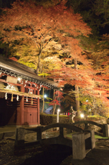 鳩ヶ嶺八幡宮　紅葉ライトアップ④