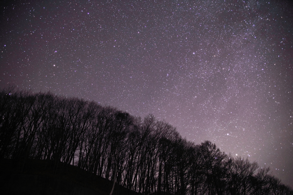 満天の星空