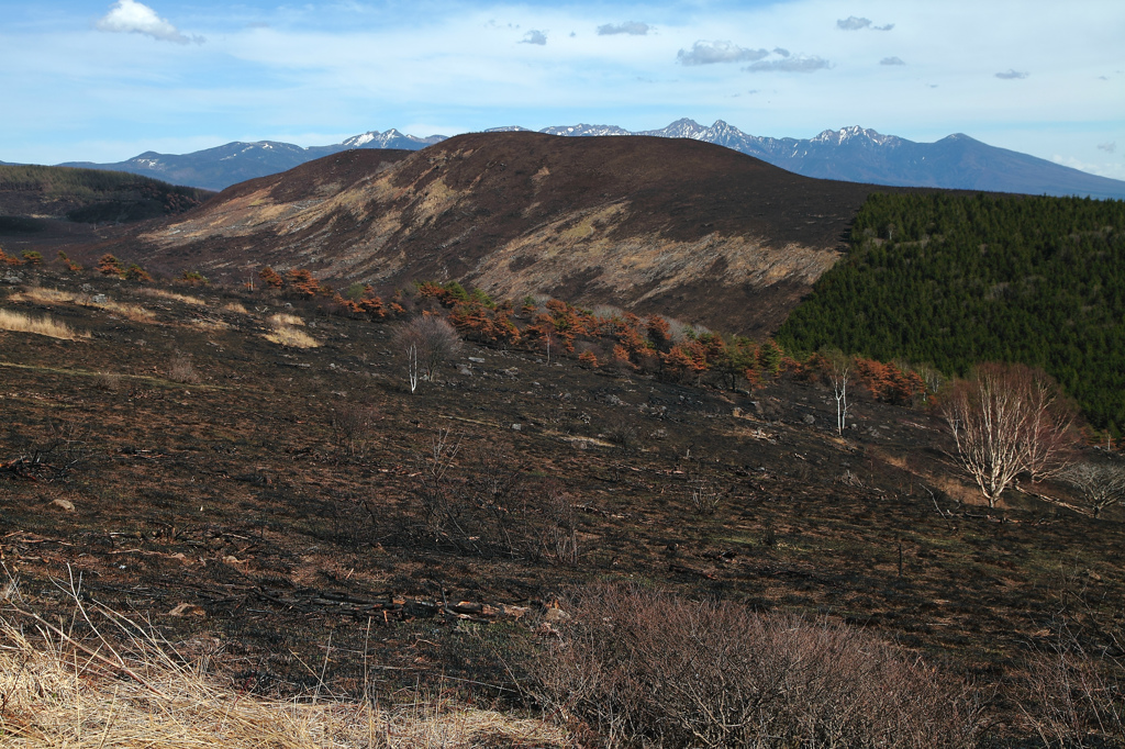 広範囲な山火事の跡