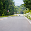 道路沿いに咲くあじさい