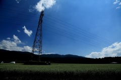 鉄塔とそば畑