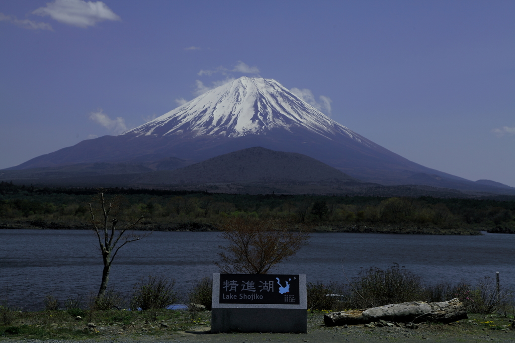 Lake Shojiko