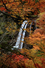 王滝と紅葉