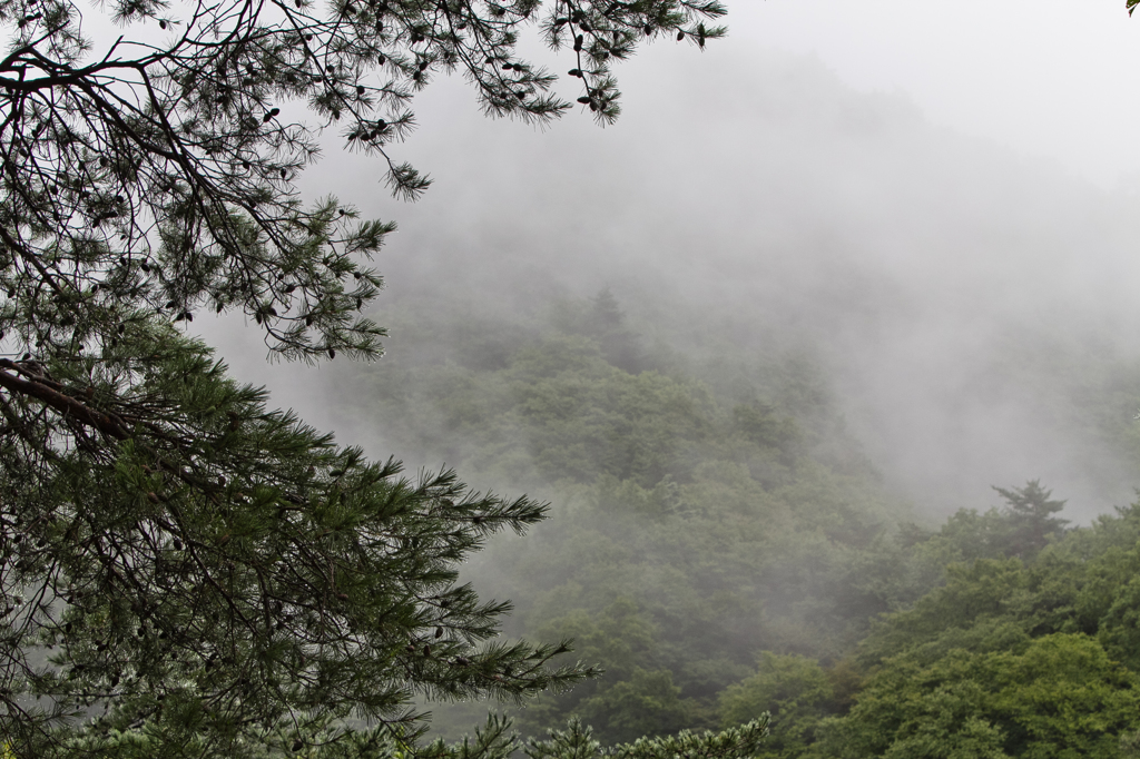 雲で隠れる山