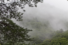 雲で隠れる山