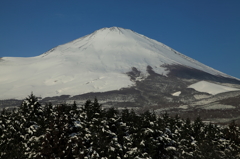 国道138号線からの富士山
