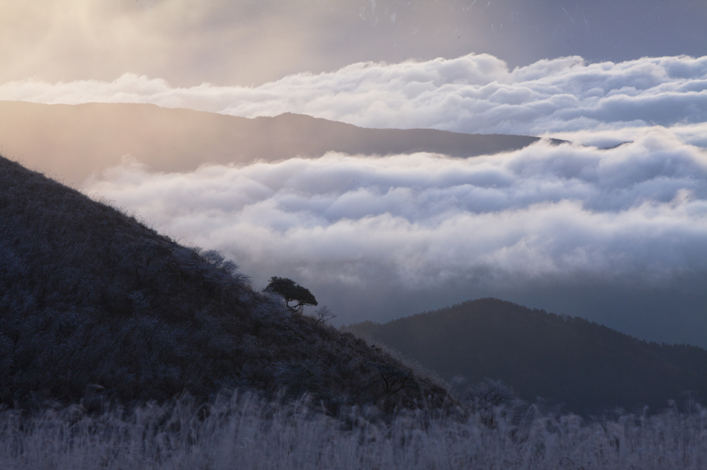 雲海で包まれる山々