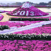 伊那市小沢区の芝桜