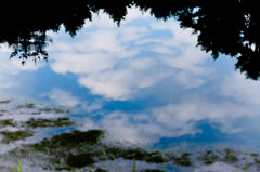 池に映る雲
