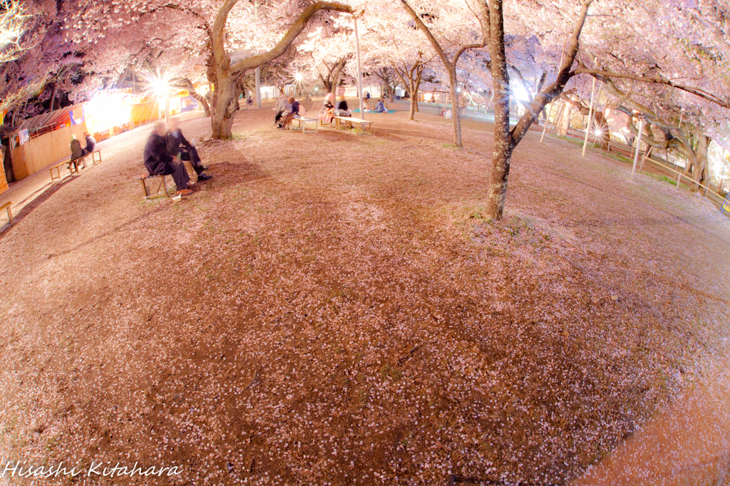 公園内