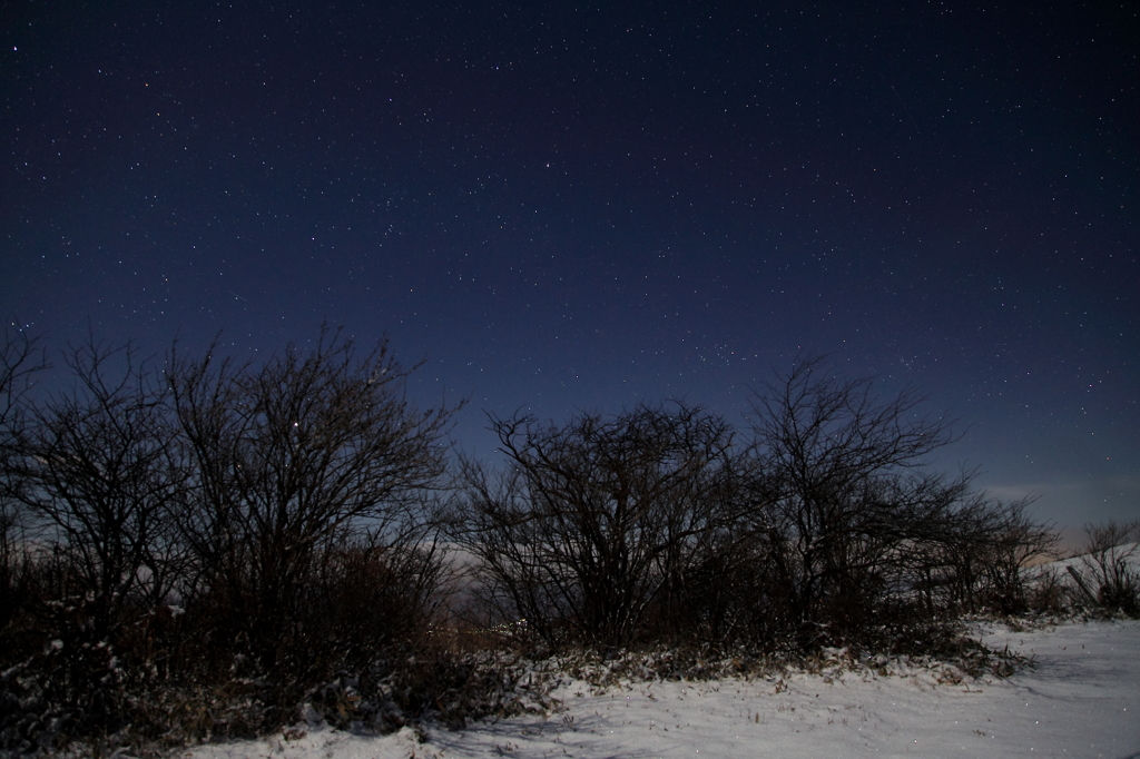 星空と雪